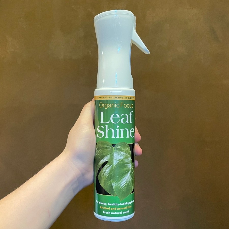 Growurban Organic Focus Leaf Shine | Indoor Plant Care