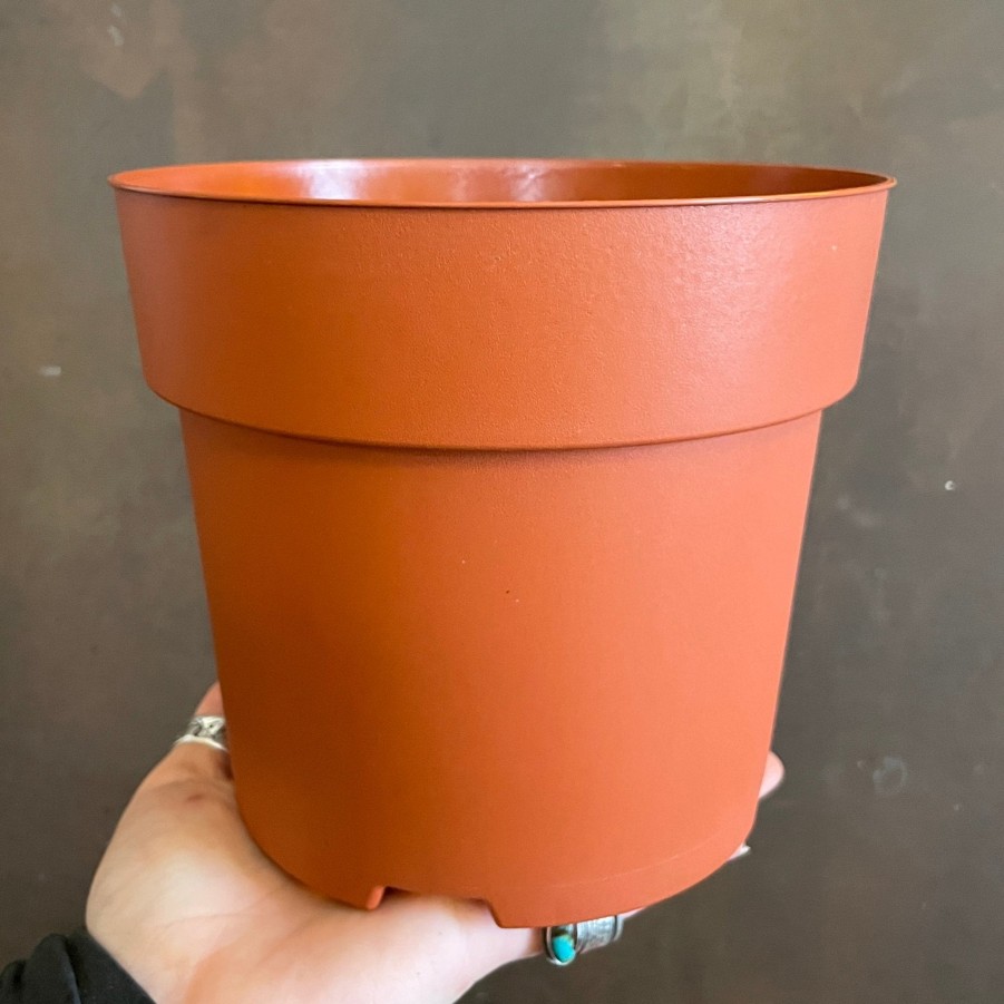 Growurban Growing Pot - Individual | Indoor Plant Care