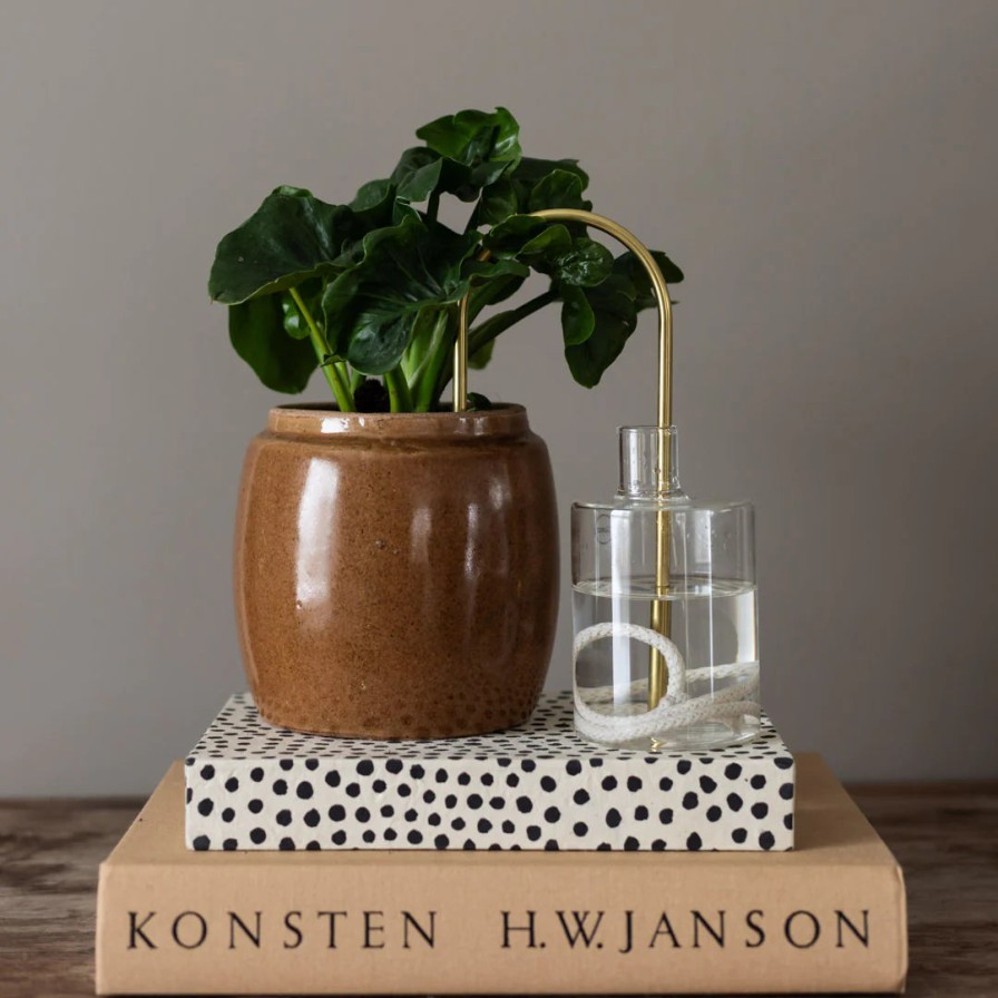 Growurban Plantstraws | Indoor Plant Care