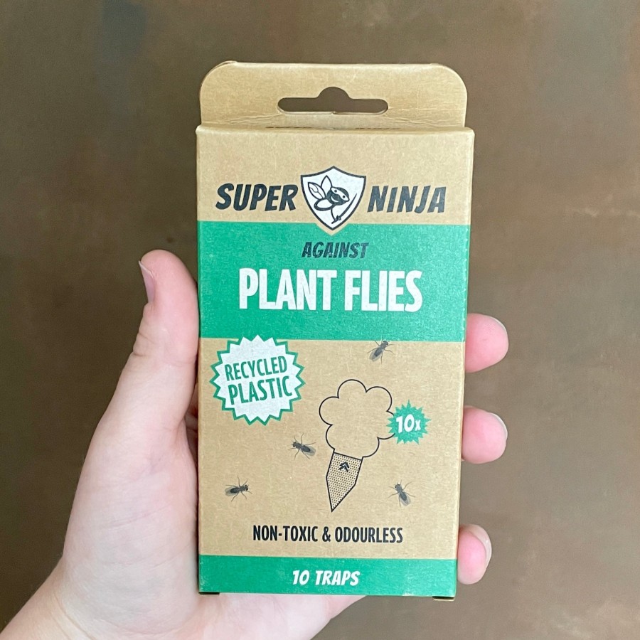 Growurban Fungus Gnat & Whitefly Traps | Super Ninja (10 Pack) | Indoor Plant Care