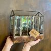 Growurban Aged Brass Terrarium - Small | Build Your Own Terrarium