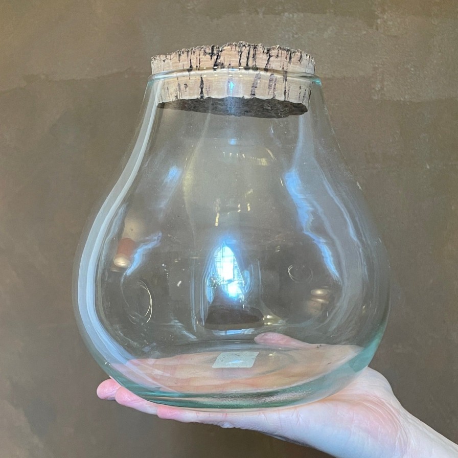 Growurban Terrarium Vessel - Bulb | Build Your Own Terrarium