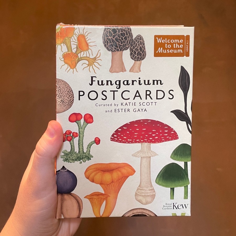 Growurban Fungarium Box Of 50 Postcards | Gift Ideas