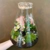 Growurban Conical Terrarium - Aged Cork | Planted Terrariums