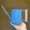 Growurban Indoor Watering Can - Heritage Blue | Indoor Plant Care