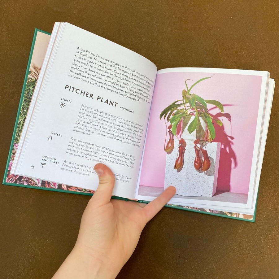 Growurban The Little Book Of House Plants & Other Greenery | Gift Ideas