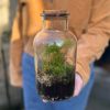 Growurban Canister Terrarium | Planted Terrariums