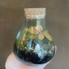 Growurban Mini Flask Terrarium | Planted Terrariums