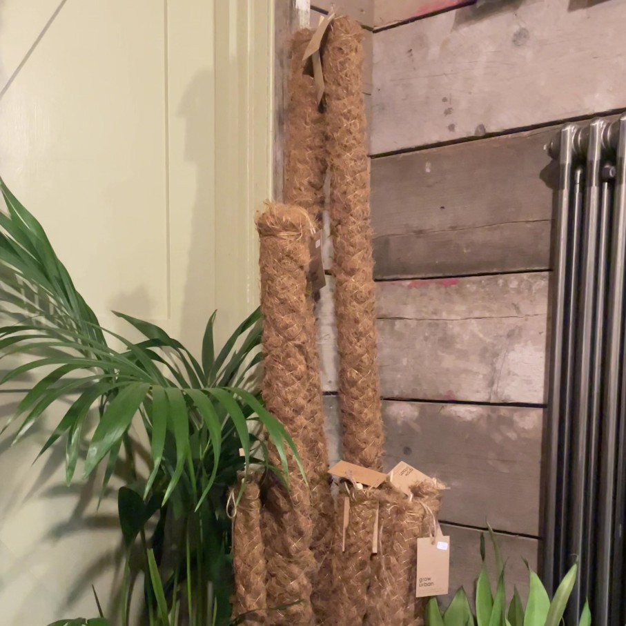 Growurban Coir Pole | Indoor Plant Care