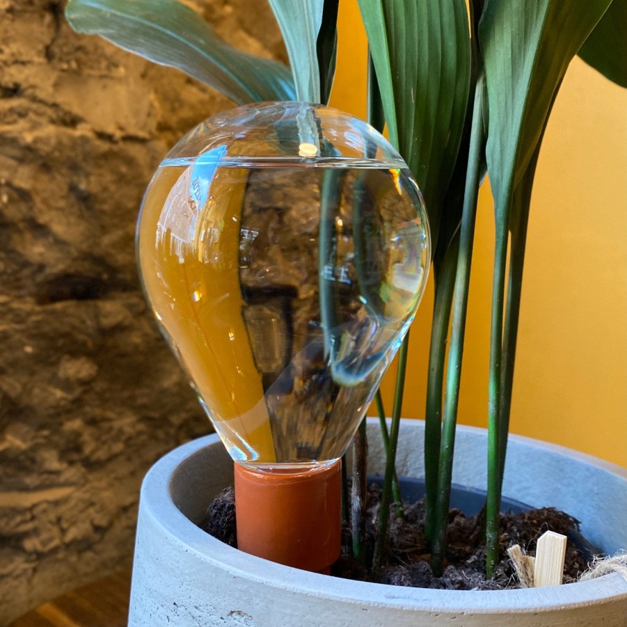 Growurban Waterworks - Watering Globe | Indoor Plant Care