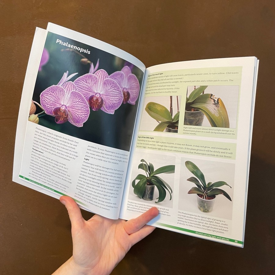 Growurban Growing Orchids At Home: The Beginner'S Guide | Books