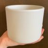 Growurban Matt Pot - White | 12Cm | Indoor Pots