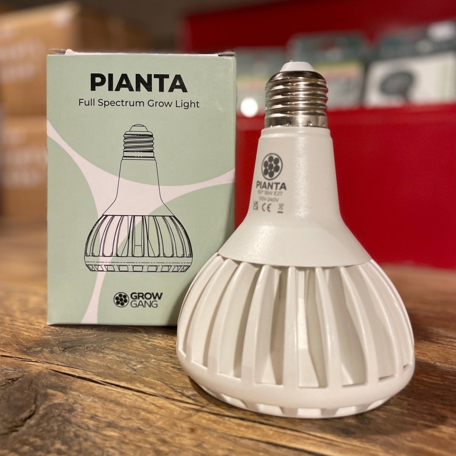 Growurban Pianta | Led Grow Light Bulb | Indoor Plant Care