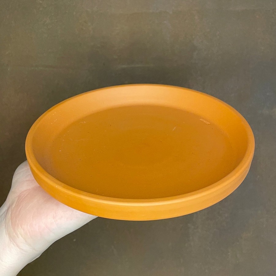 Growurban Terracotta Saucers | Indoor Plant Care