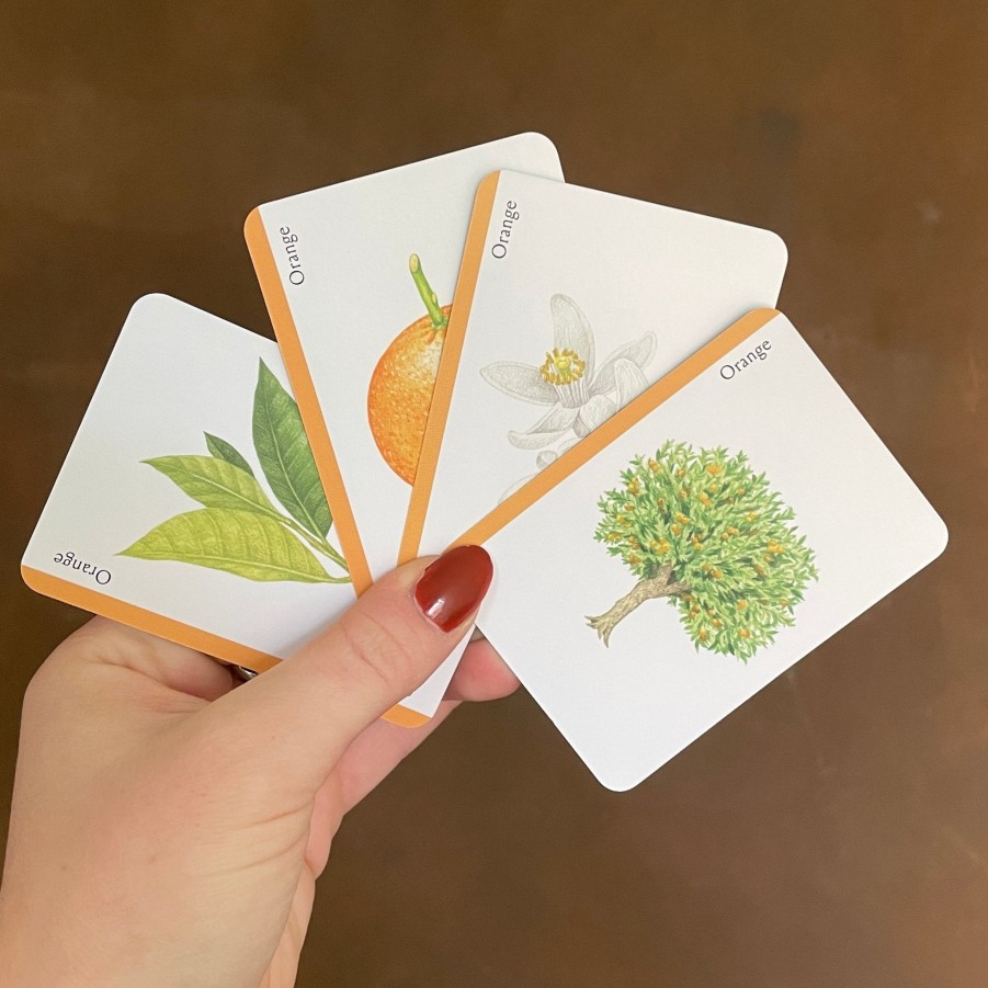 Growurban Tree Families | A Botanical Card Game | Gift Ideas