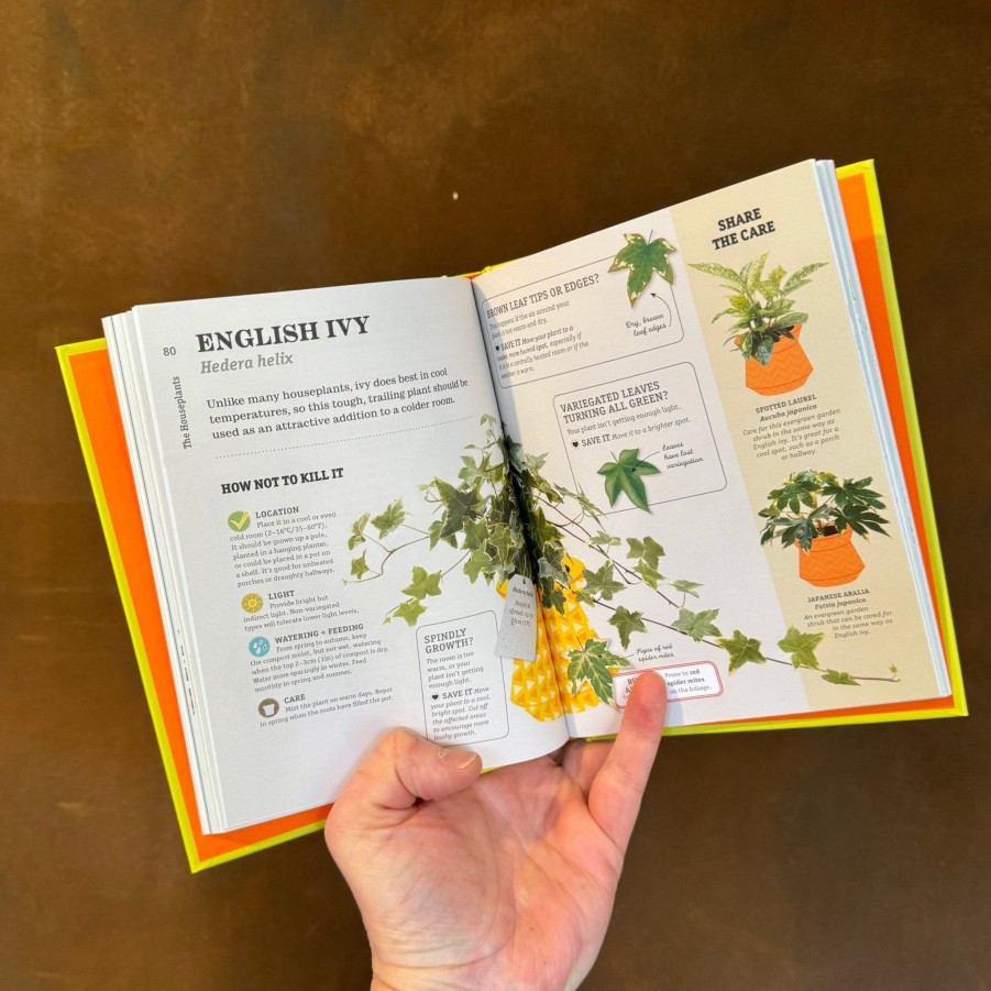 Growurban How Not To Kill Your Houseplant | Books